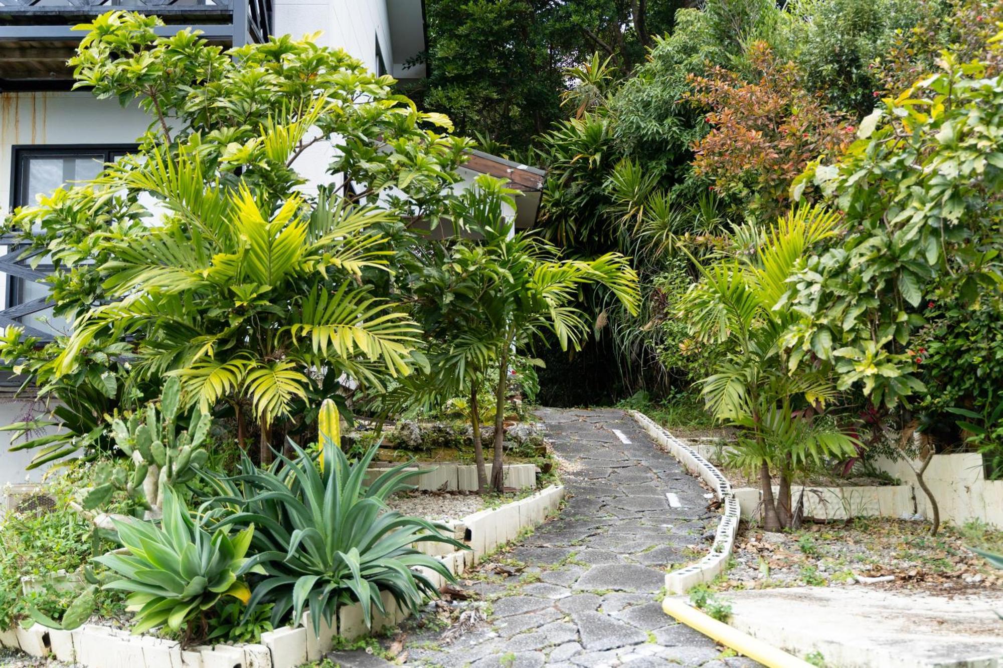 Mambo Hostel Okinawa 本部 外观 照片